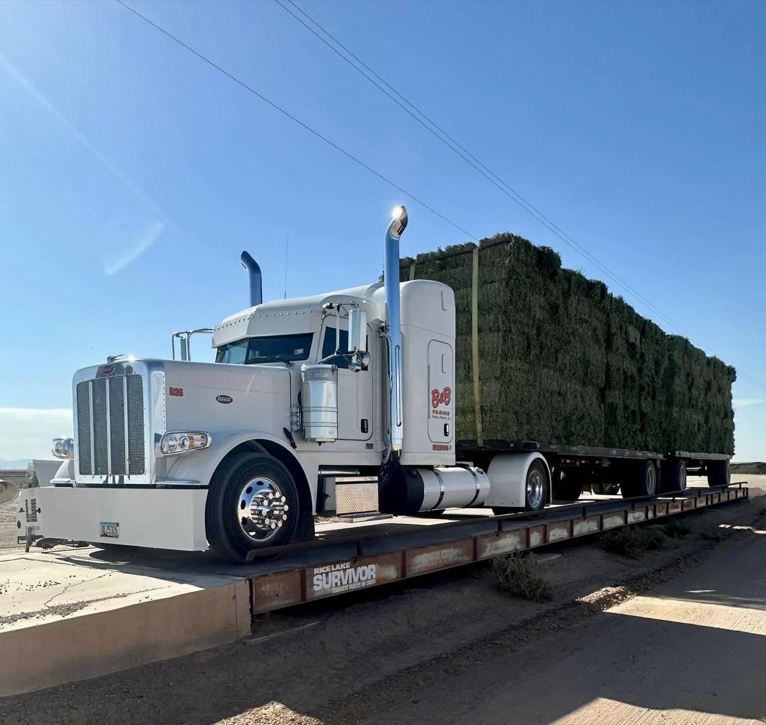 Fresh hay load
